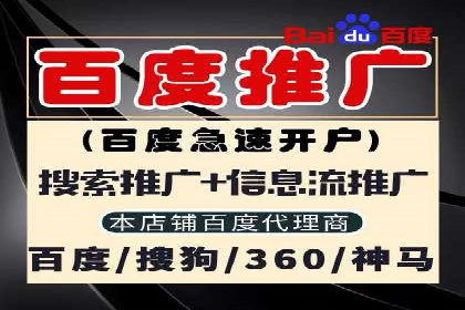 百度竞价排名服务：成功案例解析